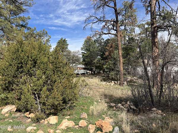 0.16 Acres of Residential Land for Sale in Overgaard, Arizona