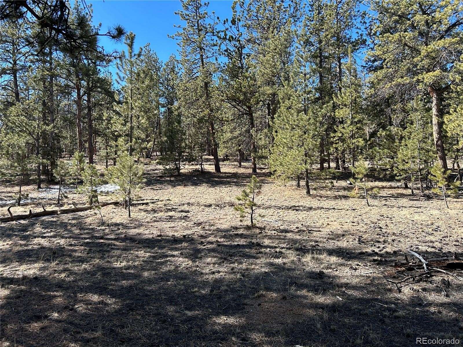 2 Acres of Residential Land for Sale in Hartsel, Colorado