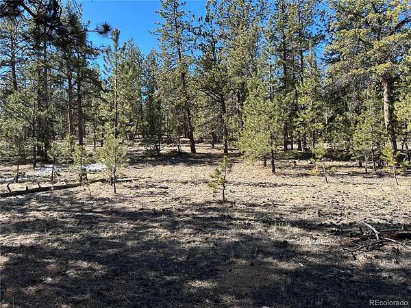 2 Acres of Residential Land for Sale in Hartsel, Colorado