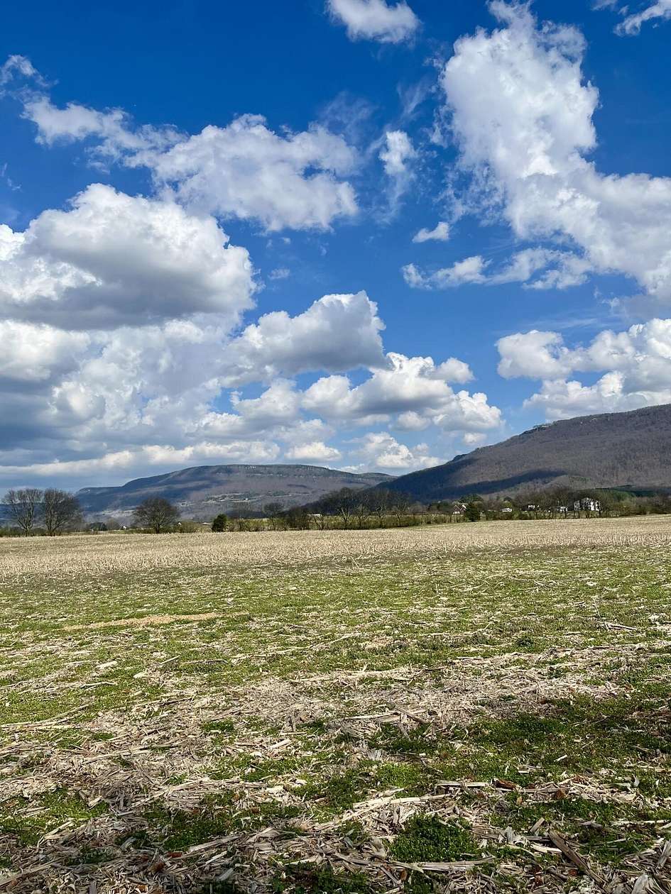 104 Acres of Recreational & Residential Land for Sale in Dunlap, Tennessee