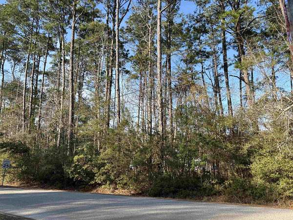 0.52 Acres of Residential Land for Sale in Pawleys Island, South Carolina