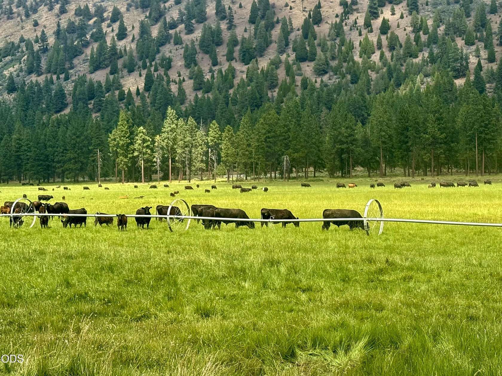 79.8 Acres of Agricultural Land with Home for Sale in Klamath Falls, Oregon
