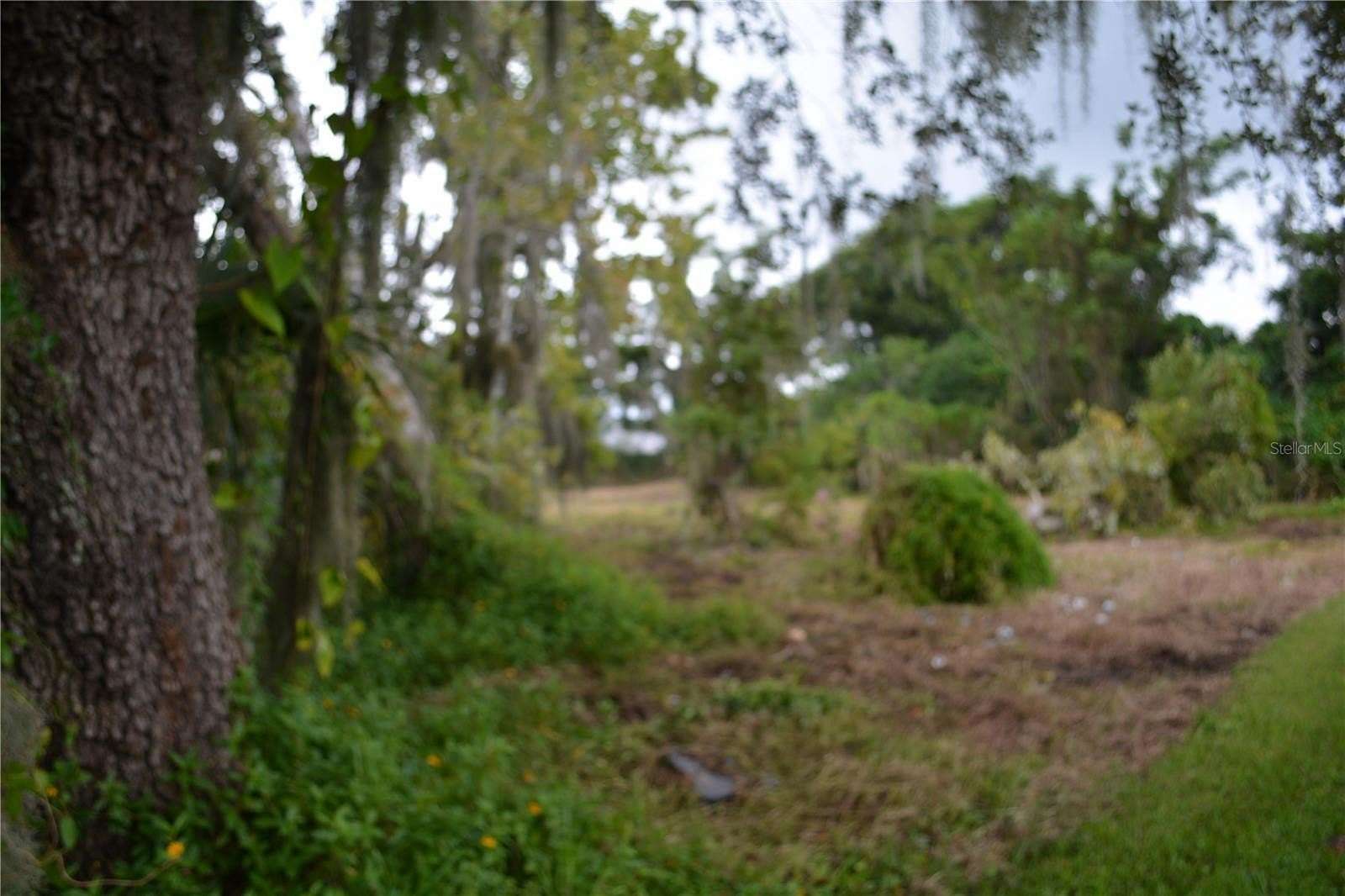 0.14 Acres of Residential Land for Sale in Interlachen, Florida