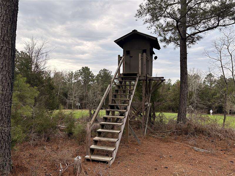 86 Acres of Land for Sale in Fort Lawn, South Carolina