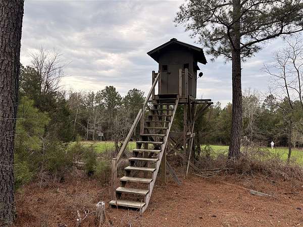 86 Acres of Land for Sale in Fort Lawn, South Carolina