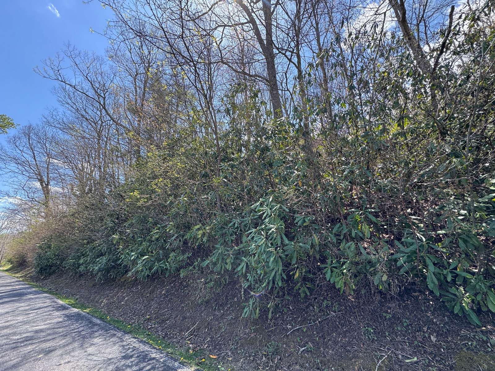 0.35 Acres of Residential Land for Sale in Newland, North Carolina