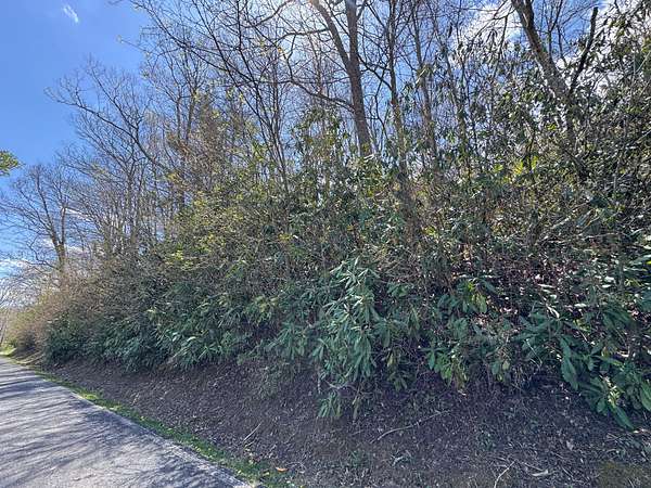 0.35 Acres of Residential Land for Sale in Newland, North Carolina