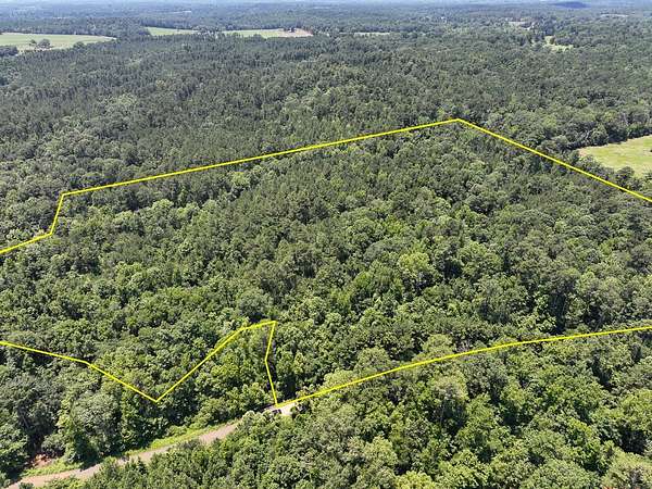 27 Acres of Recreational Land for Sale in Milam, Texas