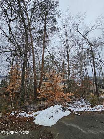 0.56 Acres of Residential Land for Sale in Baneberry, Tennessee