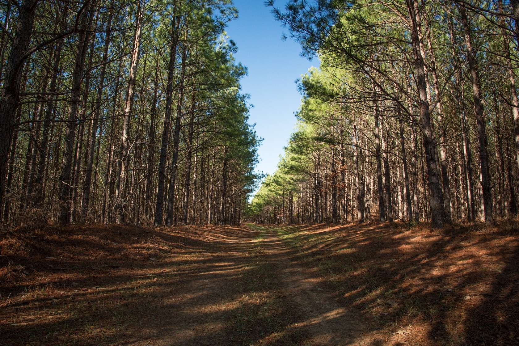 2,673 Acres of Land for Sale in Centerville, Tennessee