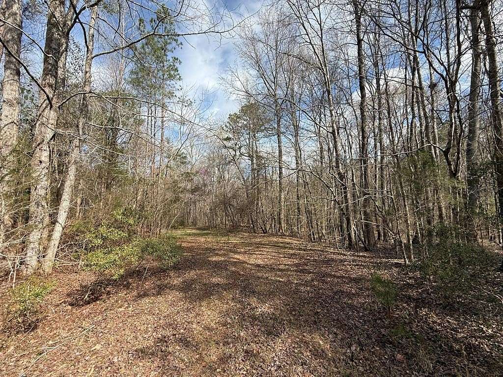 21.5 Acres of Recreational & Residential Land for Sale in Waverly Hall, Georgia