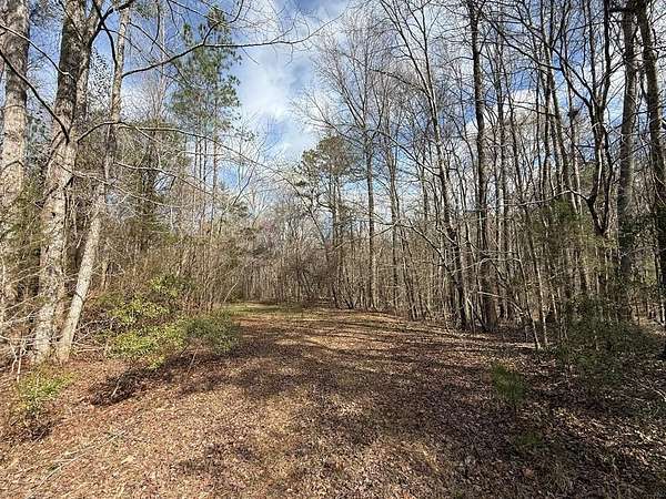 21.5 Acres of Recreational & Residential Land for Sale in Waverly Hall, Georgia