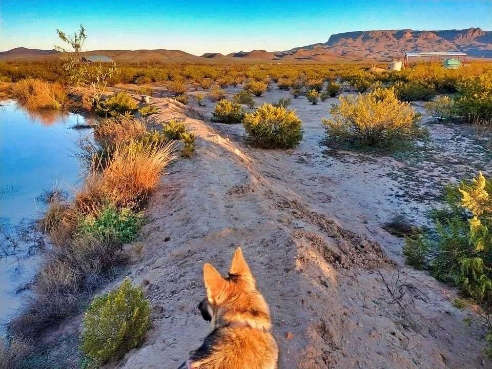 5 Acres of Land for Sale in Terlingua, Texas