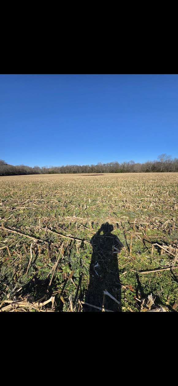 24.4 Acres of Land for Sale in Kelso, Tennessee