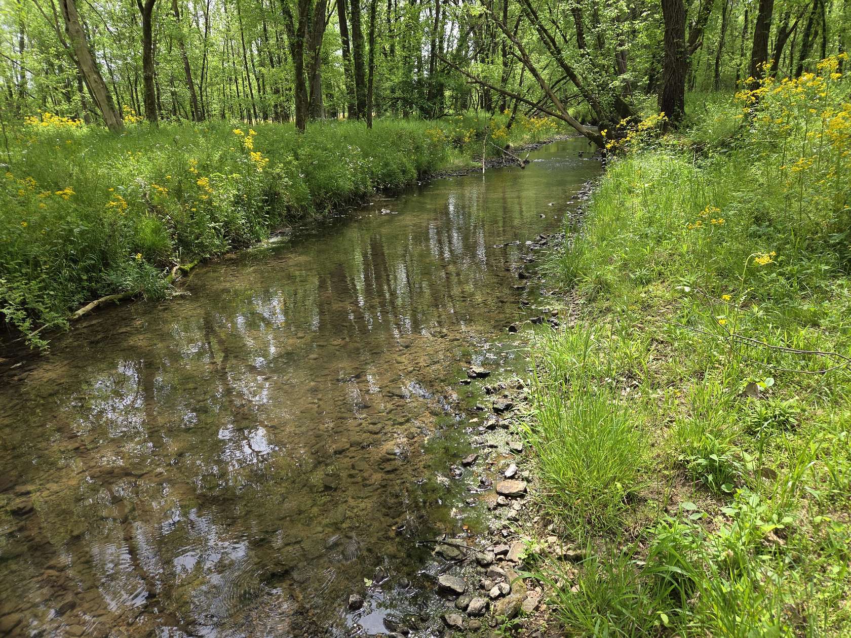 24.4 Acres of Land for Sale in Kelso, Tennessee