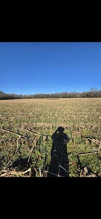 24.4 Acres of Land for Sale in Kelso, Tennessee