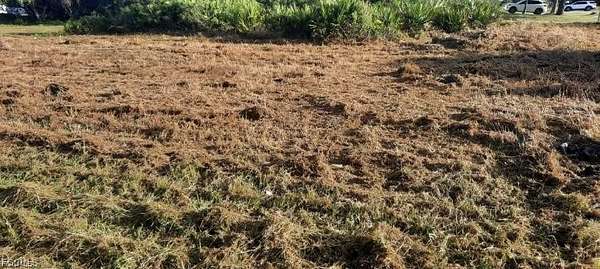 0.28 Acres of Land for Sale in Lehigh Acres, Florida