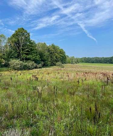 10 Acres of Land for Sale in Reed City, Michigan