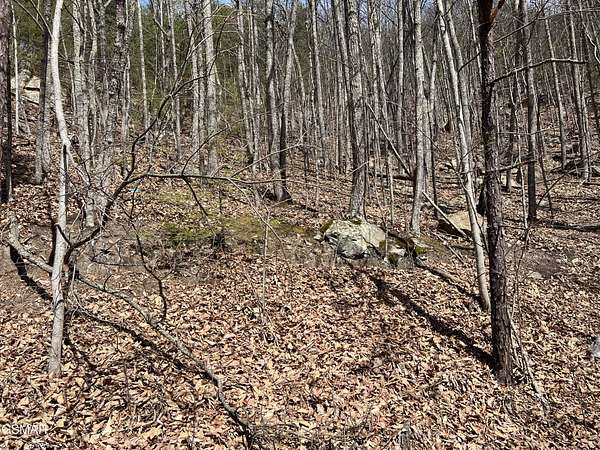 0.37 Acres of Residential Land for Sale in Sevierville, Tennessee