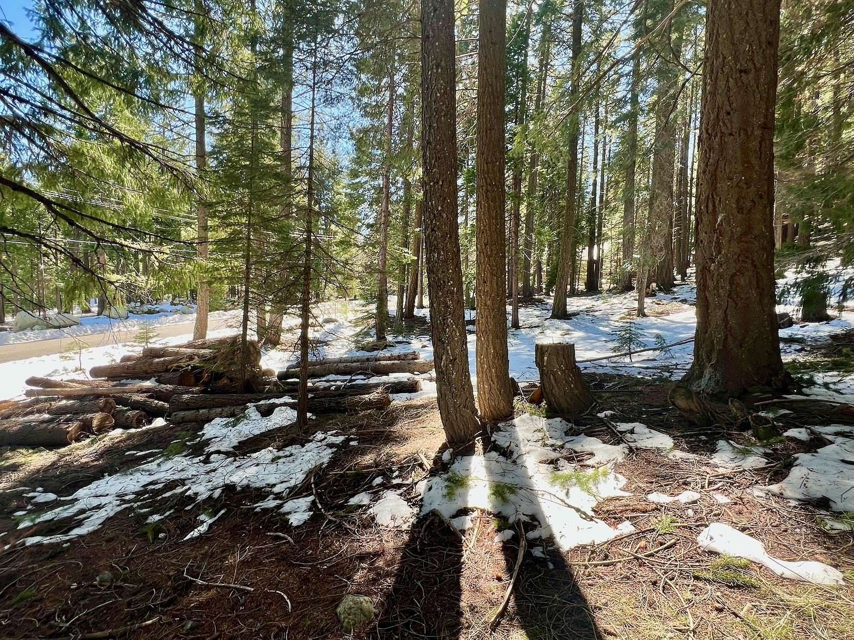 1 Acre of Residential Land for Sale in Graeagle, California