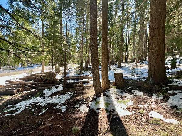 1 Acre of Residential Land for Sale in Graeagle, California