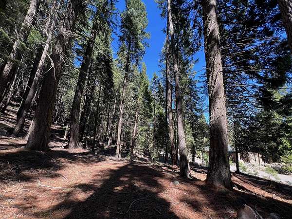 1 Acre of Residential Land for Sale in Graeagle, California