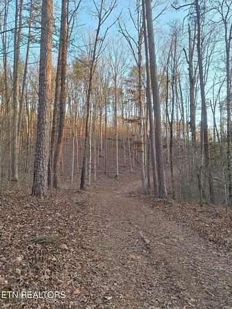 7.16 Acres of Residential Land for Sale in Tellico Plains, Tennessee