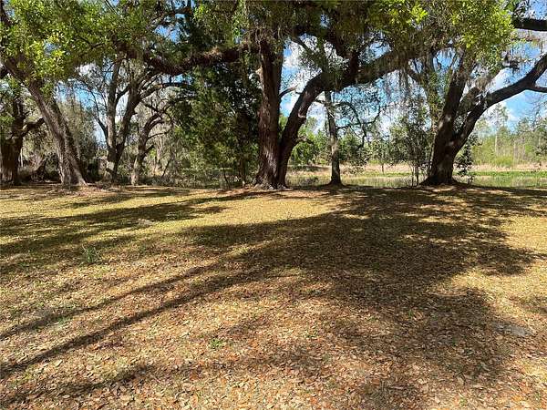 4 Acres of Residential Land for Sale in Webster, Florida