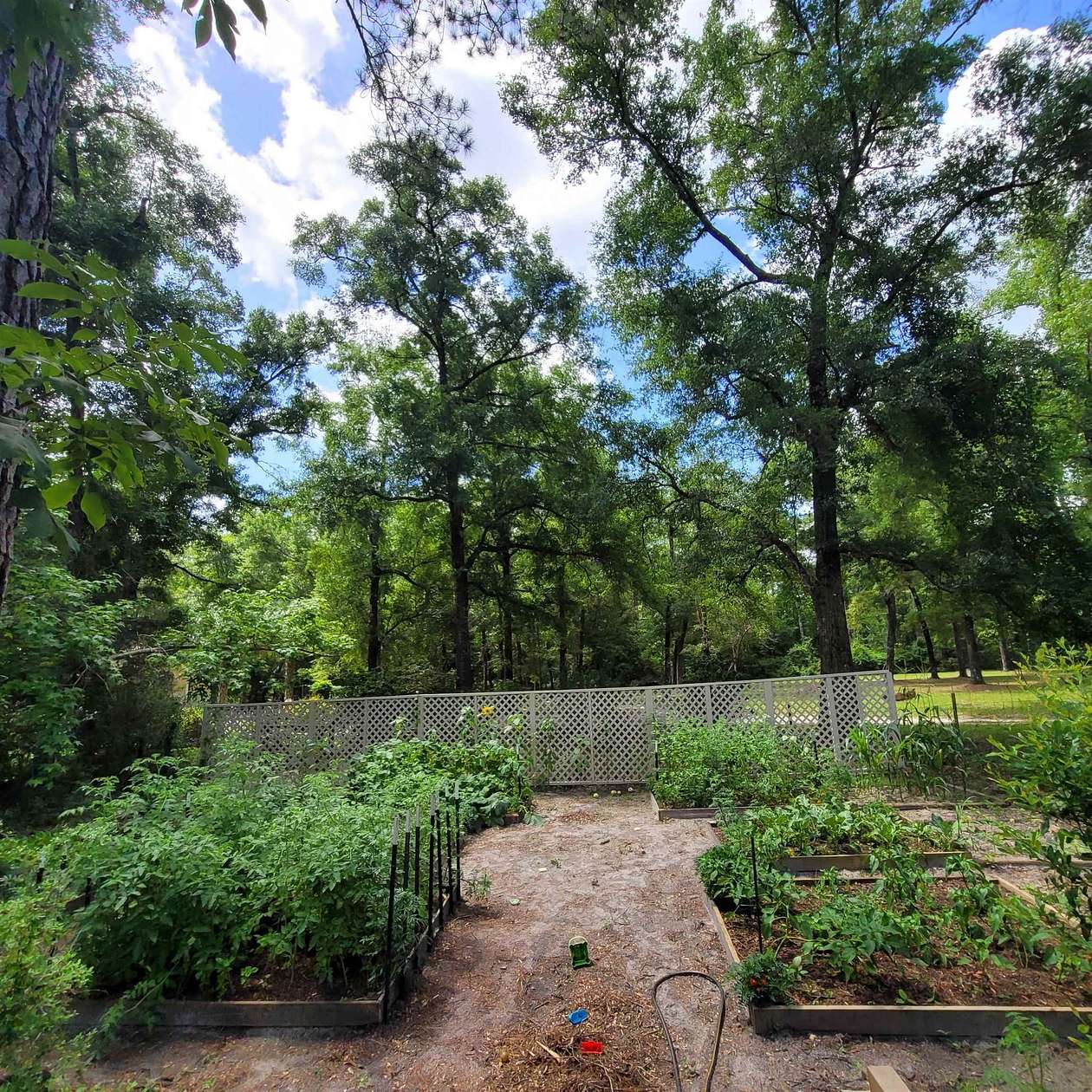 2.44 Acres of Land with Home for Sale in Crawfordville, Florida