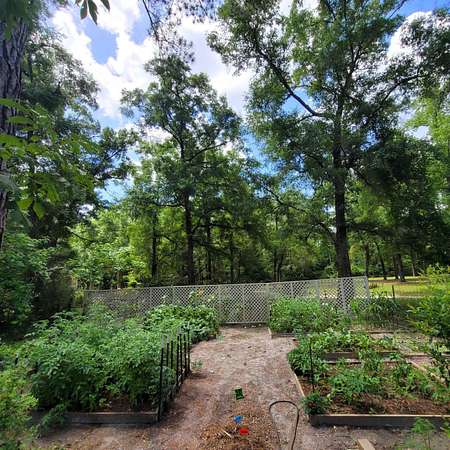 2.44 Acres of Land with Home for Sale in Crawfordville, Florida