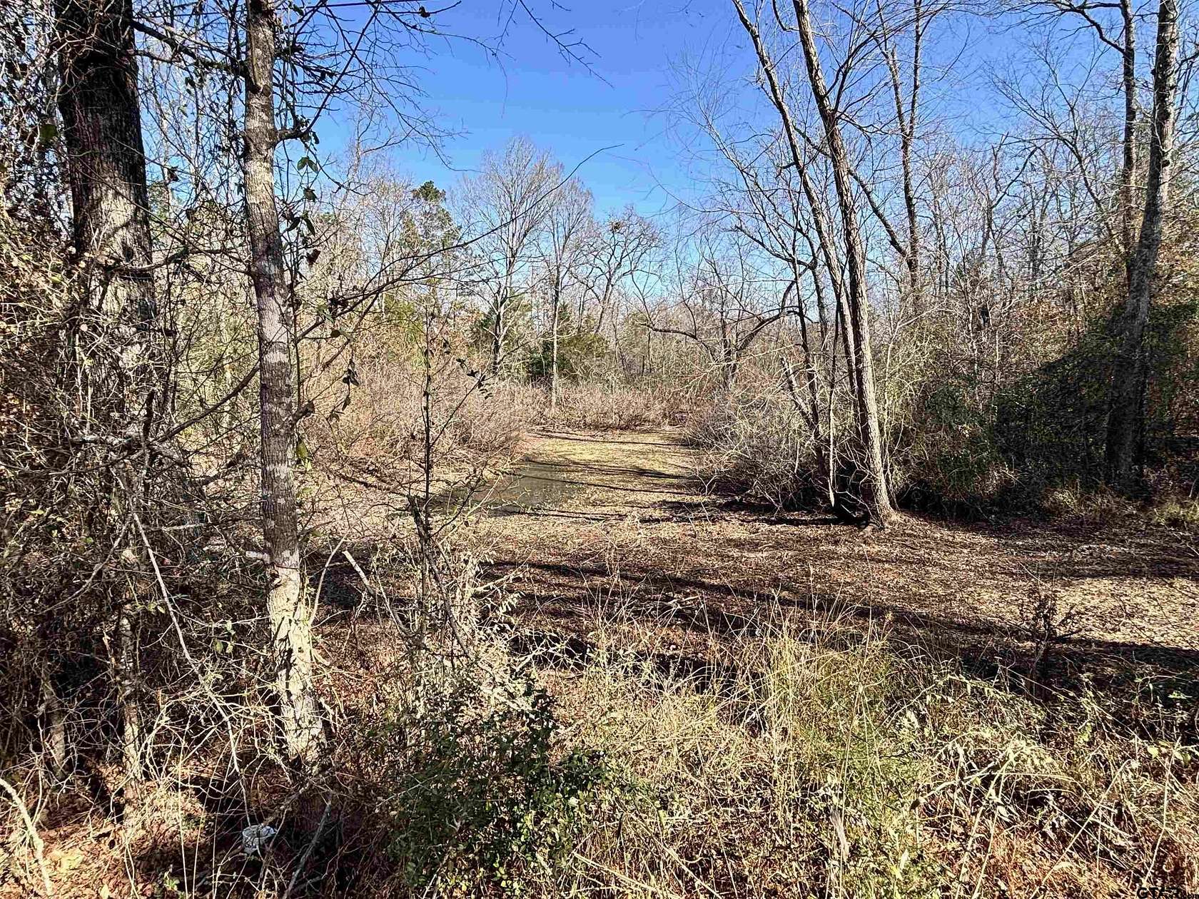 4 Acres of Land for Sale in Reklaw, Texas