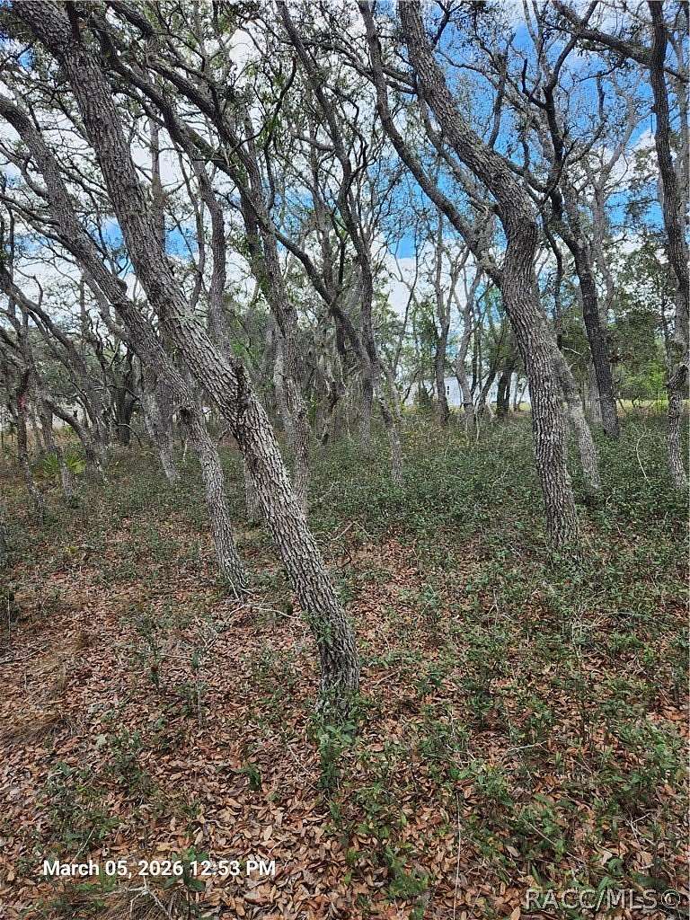 0.51 Acres of Residential Land for Sale in Homosassa, Florida