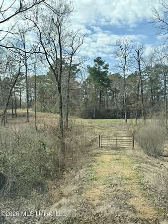 4 Acres of Residential Land for Sale in Hernando, Mississippi