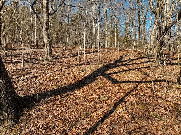 4 Acres of Residential Land for Sale in Murrayville, Georgia