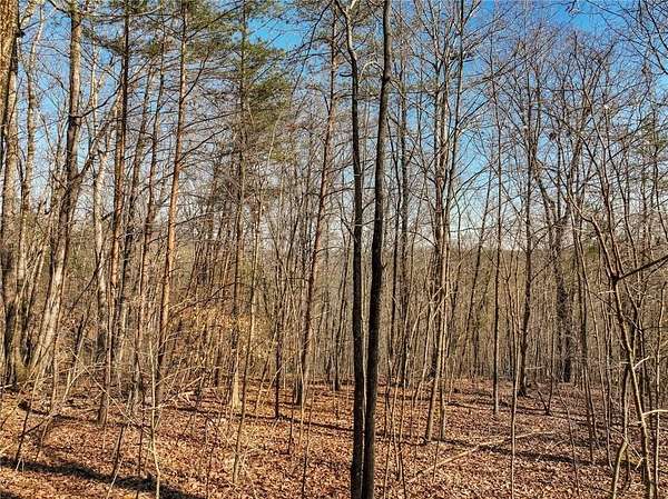 3.5 Acres of Residential Land for Sale in Murrayville, Georgia