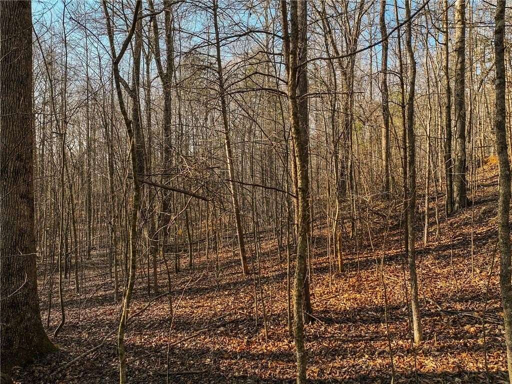 4.62 Acres of Residential Land for Sale in Murrayville, Georgia