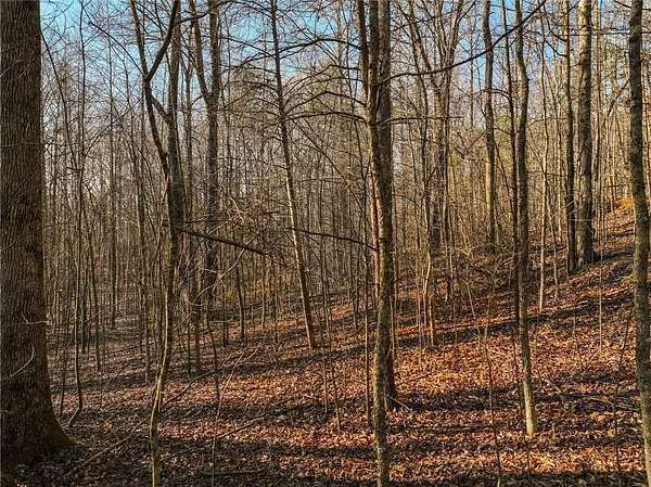 4.62 Acres of Residential Land for Sale in Murrayville, Georgia