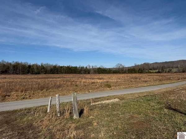 13.5 Acres of Land for Sale in Princeton, Kentucky