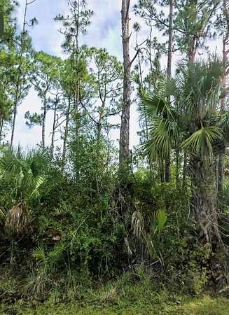 0.23 Acres of Residential Land for Sale in North Port, Florida