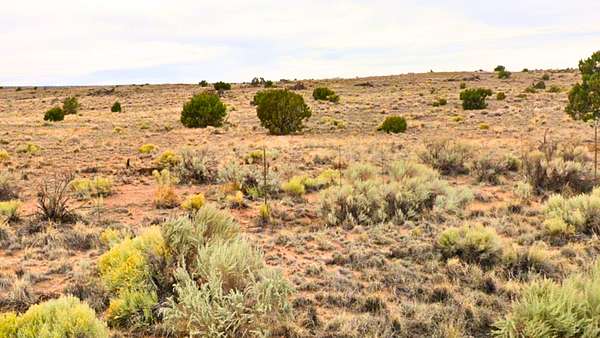 1 Acre of Residential Land for Sale in Chambers, Arizona
