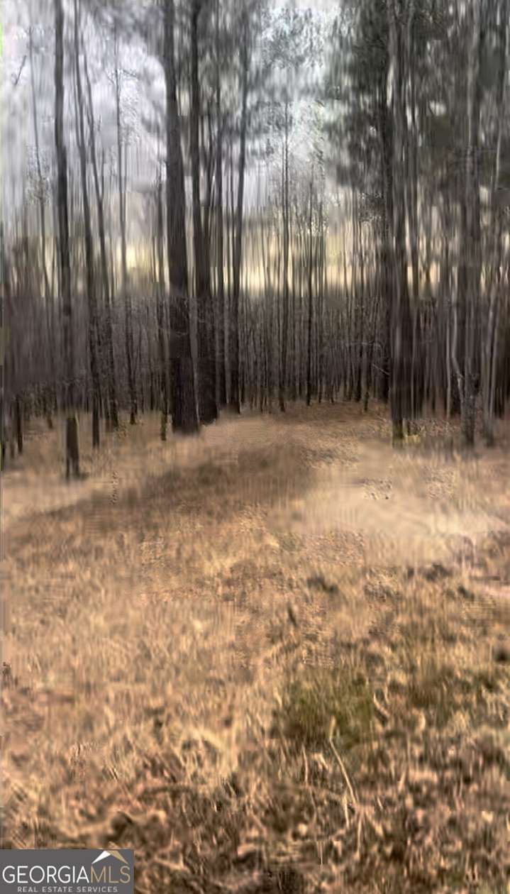 1.16 Acres of Land for Sale in Sparta, Georgia