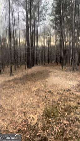 1.16 Acres of Land for Sale in Sparta, Georgia