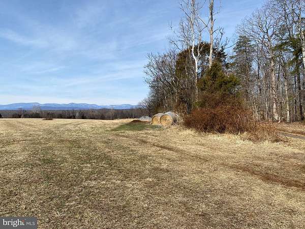 46.3 Acres of Land for Sale in Culpeper, Virginia