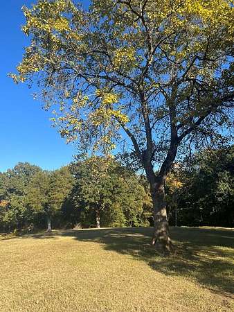 15.7 Acres of Land for Sale in Big Sandy, Tennessee