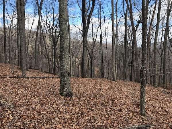 6 Acres of Residential Land for Sale in Monterey, Virginia