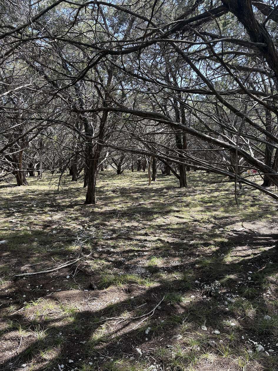 20 Acres of Recreational Land with Home for Sale in Burnet, Texas