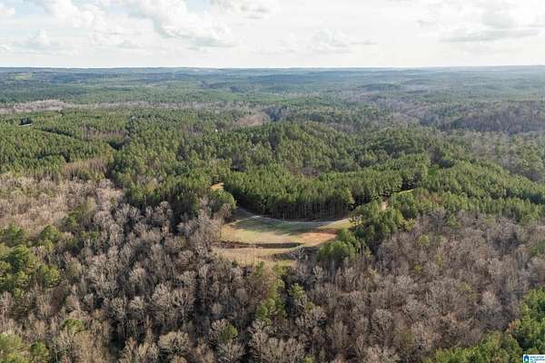 23.2 Acres of Land for Sale in Helena, Alabama