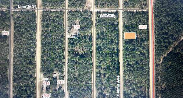 0.22 Acres of Residential Land for Sale in Interlachen, Florida