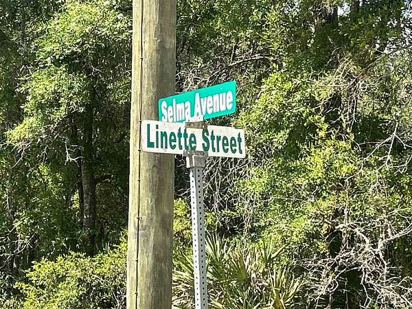0.22 Acres of Residential Land for Sale in Interlachen, Florida