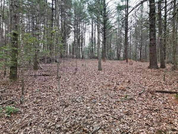 Land for Sale in Murphy, North Carolina
